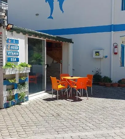 And Analipsi Shëngjin